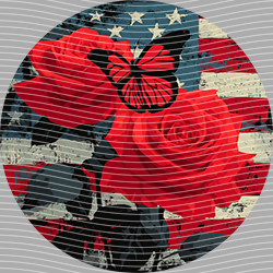USA-MG 3897